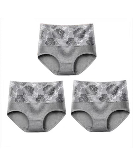 🔥 Damen-Slip Mit Hoher Taille Und Bauchkontrolle Aus Reiner Baumwolle In Übergröße